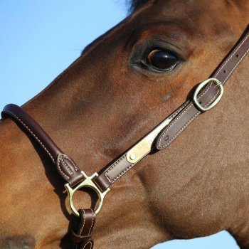 Kentucky Horsewear Stallhalfter LEATHER braun