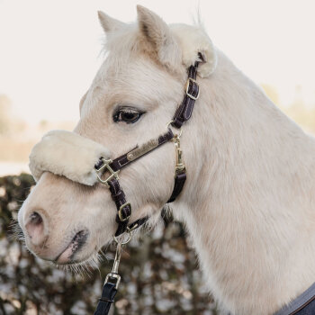 Kentucky Horsewear Pony Lederhalfter SHEEPSKIN braun