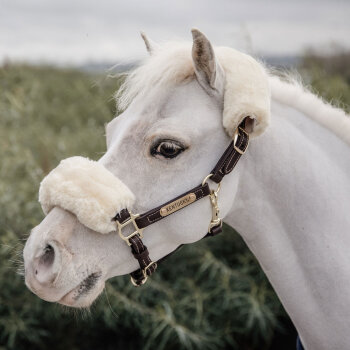 Kentucky Horsewear Pony Lederhalfter SHEEPSKIN braun