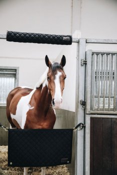 Kentucky Horsewear Kopfschutz