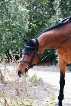 Kentucky Horsewear Fliegenhaube WELLINGTON