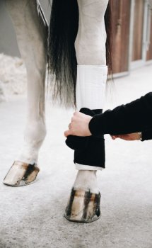 Kentucky Horsewear Bandagenunterlagen WORKING ABSORB 45 x 30 cm