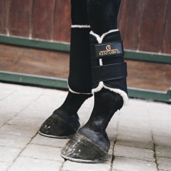 Kentucky Horsewear Arbeitsgamaschen SOLIMBRA vorne