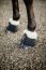 Kentucky Horsewear Hufglocken SHEEPSKIN SOLIMBRA schwarz