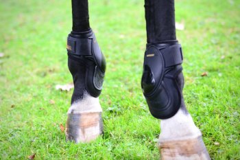 Kentucky Horsewear Streichkappen DEEP