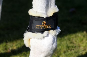 Kentucky Horsewear Streichkappen SHEEPSKIN YOUNG HORSE