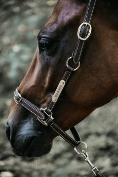 Kentucky Horsewear Lederhalfter FLEXIBEL braun