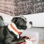 Kentucky Dogwear Hundehalsband SOFT RUBBER