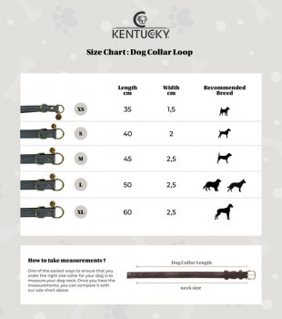 Kentucky Dogwear Hundehalsband LOOP