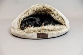 Kentucky Dogwear Hundebett IGLOO