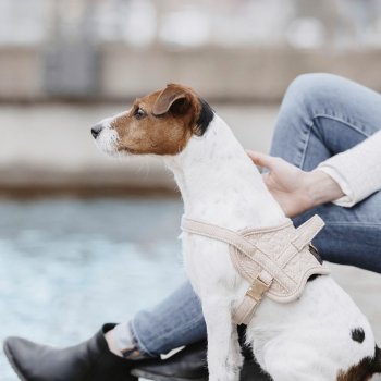 Kentucky Dogwear Hundegeschirr BODY SAFE WOOL