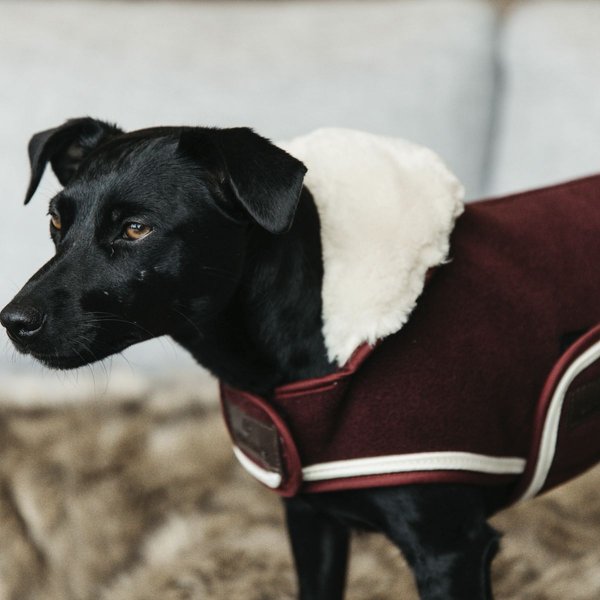 Kentucky Dogwear Hundemantel HEAVY FLEECE bordeaux