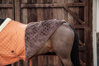 Kentucky Horsewear Turnierdecke 160g autumn orange