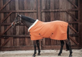 Kentucky Horsewear Turnierdecke 160g autumn orange 125 cm