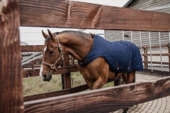 Kentucky Horsewear Führanlagendecke 160g marineblau