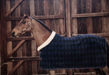 Kentucky Horsewear Abschwitzdecke SHOW HEAVY blau kariert