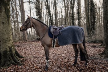 Kentucky Horsewear Ausreitdecke QUADRAT HEAVY FLEECE