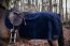 Kentucky Horsewear Ausreitdecke QUADRAT HEAVY FLEECE