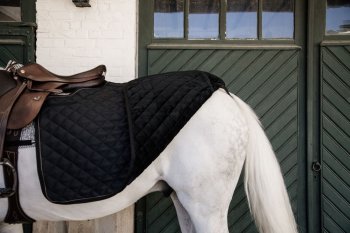 Kentucky Horsewear Ausreitdecke QUADRAT 160g