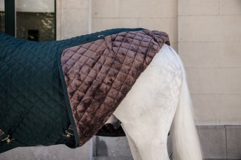 Kentucky Horsewear Stalldecke 400g dunkelgrün