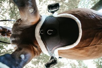Kentucky Horsewear Lammfell-Stollengurt SPEZIAL braun