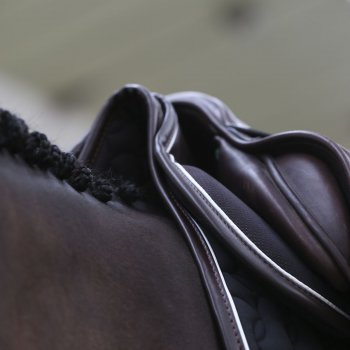 Kentucky Horsewear Sattelpad ABSORB