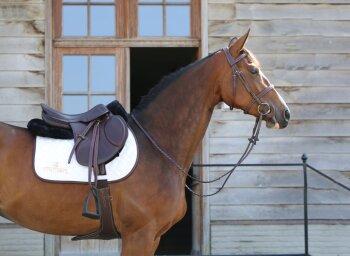 Kentucky Horsewear Schabracke schwarz
