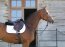 Kentucky Horsewear Schabracke marineblau
