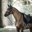 Kentucky Horsewear Fliegenhaube WELLINGTONE STONE & PEARL