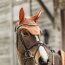 Kentucky Horsewear Fliegenhaube WELLINGTON VELVET