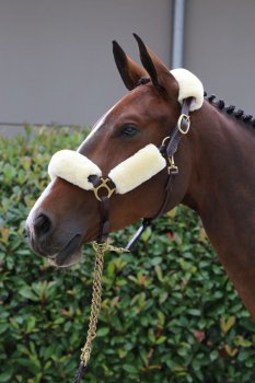 Kentucky Horsewear Schaffell-Halfterset 4-teilig