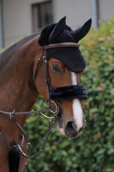 Kentucky Horsewear Nasenriemenschoner