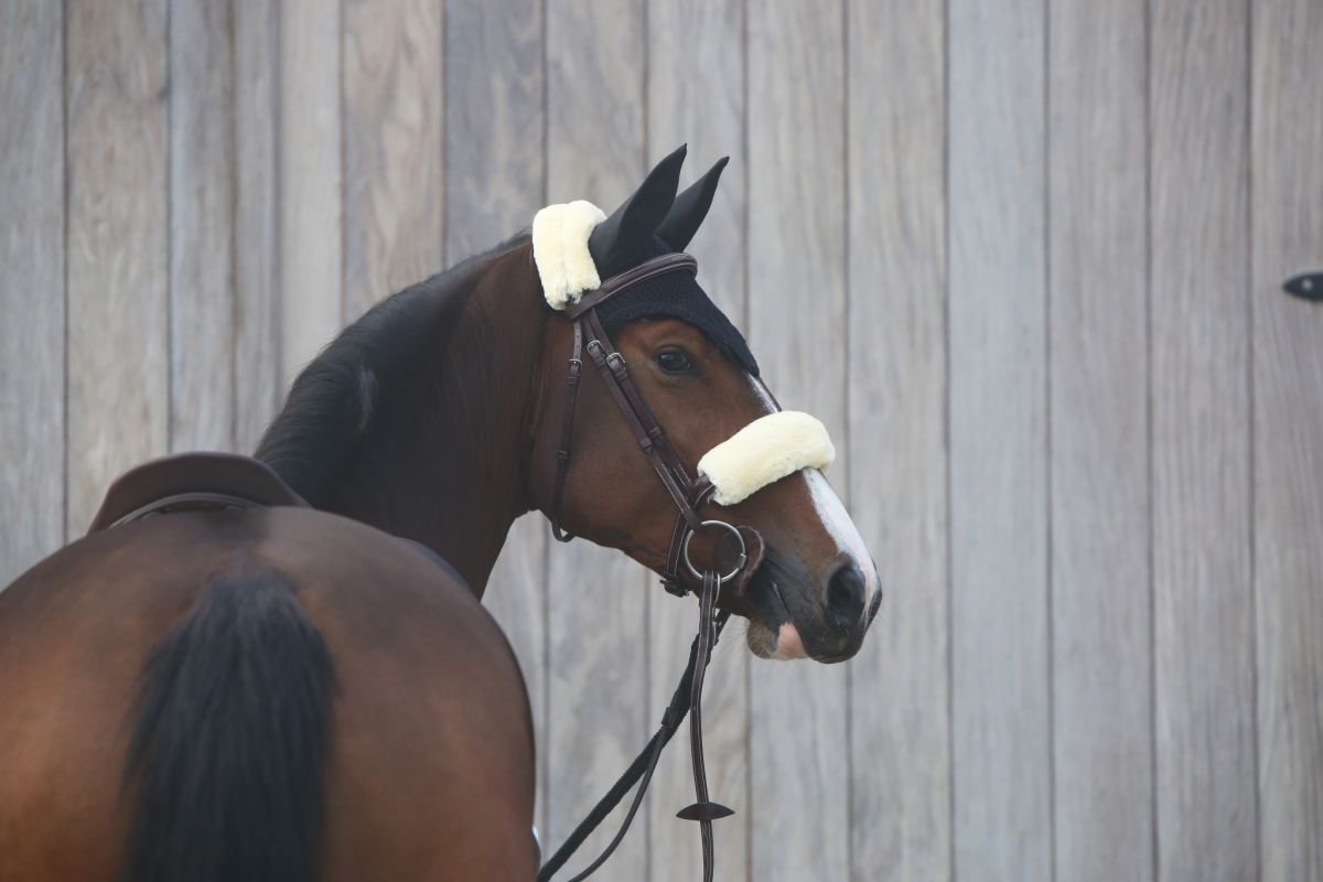 Kentucky Horsewear Nasenriemenschoner natur