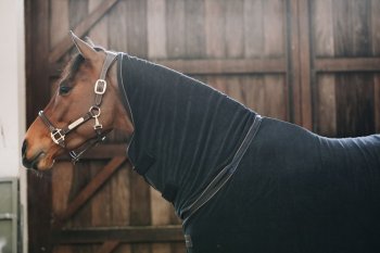 Kentucky Horsewear Decke TOWEL schwarz
