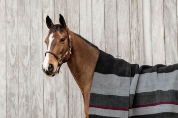 Kentucky Horsewear Fleecedecke SQUARE STRIPES HEAVY