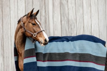 Kentucky Horsewear Fleecedecke SQUARE STRIPES HEAVY