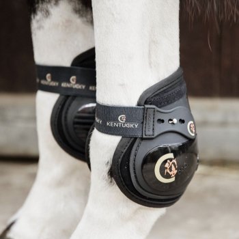 Kentucky Horsewear Streichkappe MOONBOOTS ELASTIK