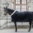 Kentucky Horsewear Abschwitzdecke SHOW HEAVY schwarz