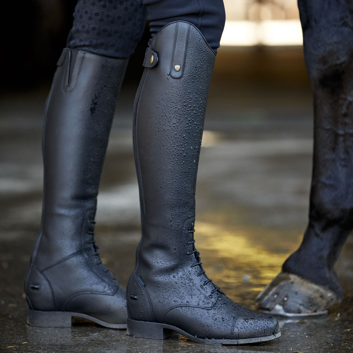 Reitboots damen clearance