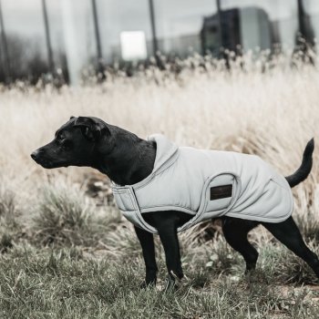 Kentucky Dogwear Hundemantel reflektierend & wasserabweisend Bauchlatz 150g silber