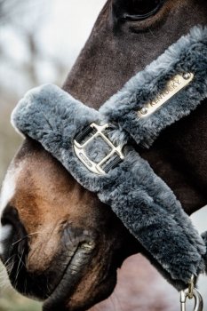 Kentucky Horsewear Lammfell Transport Halfter grau