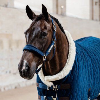 Kentucky Horsewear Halfter VELVET marine