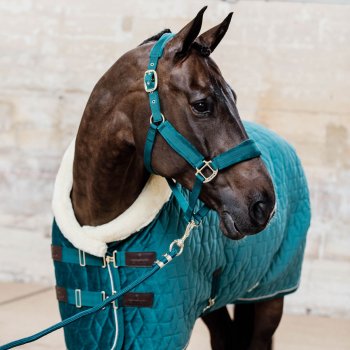 Kentucky Horsewear Halfter VELVET smaragd