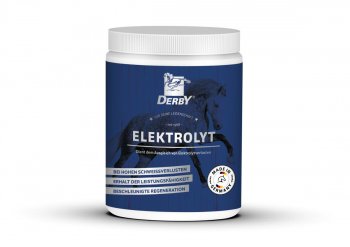 Derby Pferde-Ergänzungsfuttermittel ELEKTROLYT 1kg Dose