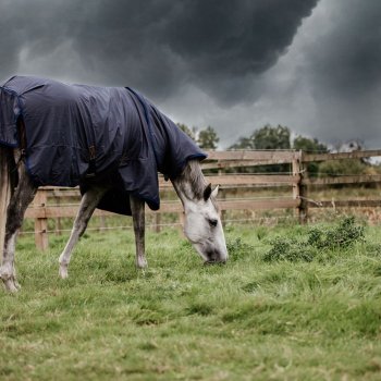 Kentucky Horsewear Weidedecke ALL WEATHER HURRICANE 50g marineblau