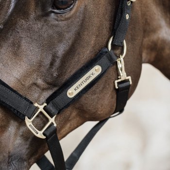 Kentucky Horsewear Halfter VELVET schwarz