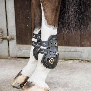 Kentucky Horswear Streichkappen MOONBOOTS MAX ELASTIK schwarz