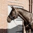 Kentucky Horsewear Führleine LEATHER CHAIN braun