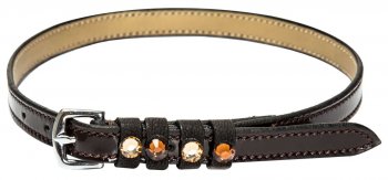 Imperial Riding Leder-Sporenriemen IRH PARDOUZ brown gold