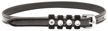 Imperial Riding Leder-Sporenriemen IRH PARDOUZ black lack chrystal